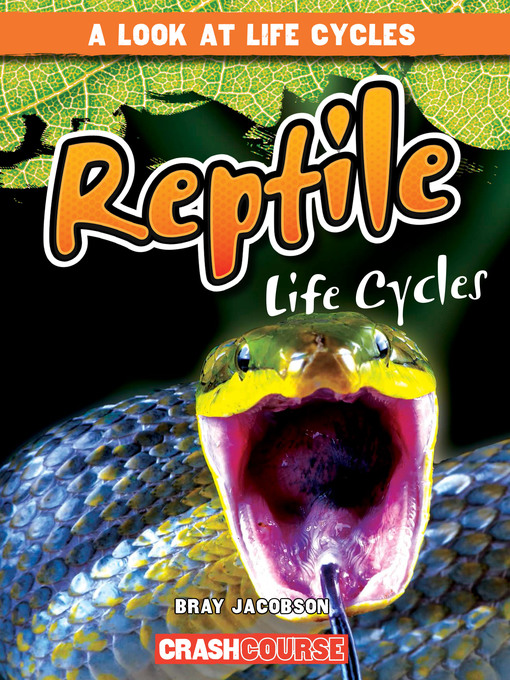 Title details for Reptile Life Cycles by Bray Jacobson - Available
